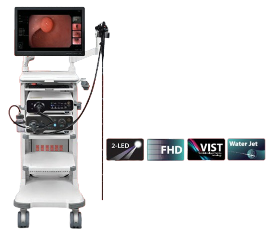 Video Endoscope System V2