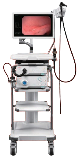 Video Endoscope System V7