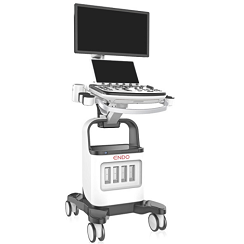 4D Digital Ultrasound
Diagnostic System, ENDO EI.USG4D.v7