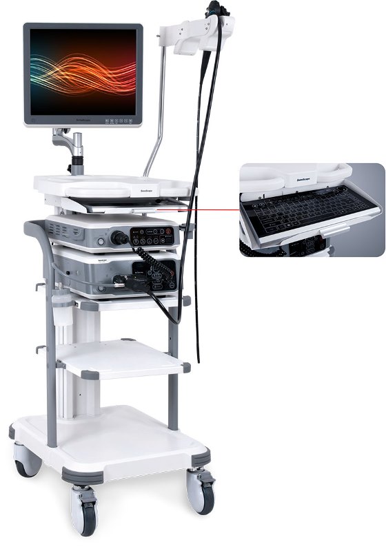 Flexible Endoscopy, HD-330