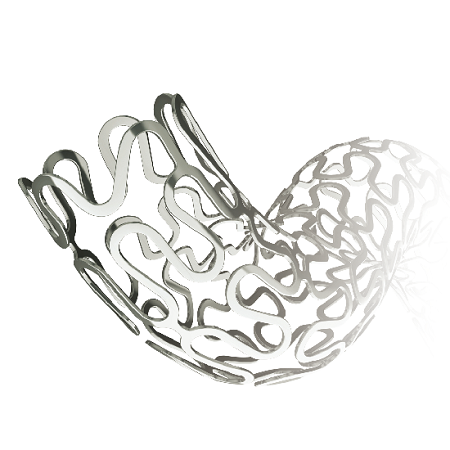 ENDO CoCr Sirolimus-eluting Coronary Stent System